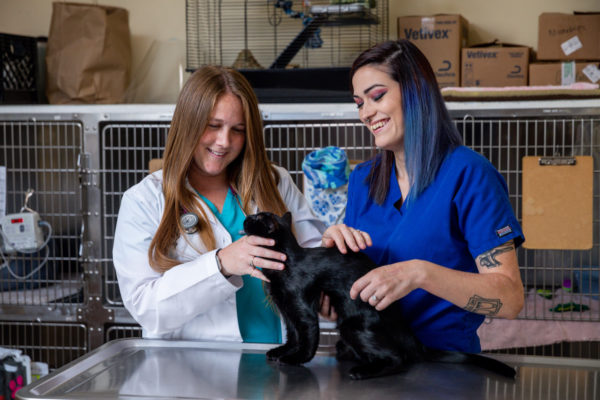 Veterinary Clinic in Prairieville | Veterinarian | Dutchtown Animal Hospital